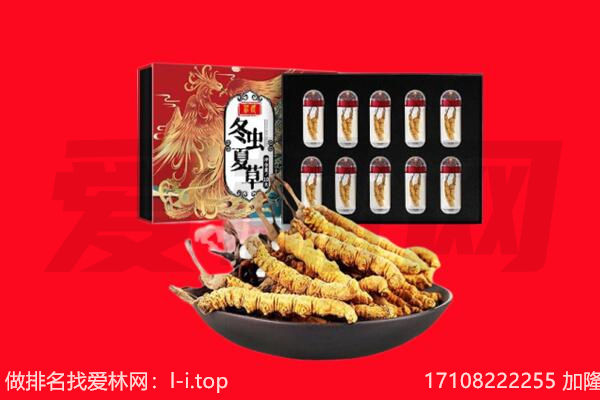 甘孜炉霍县回收虫草.jpg